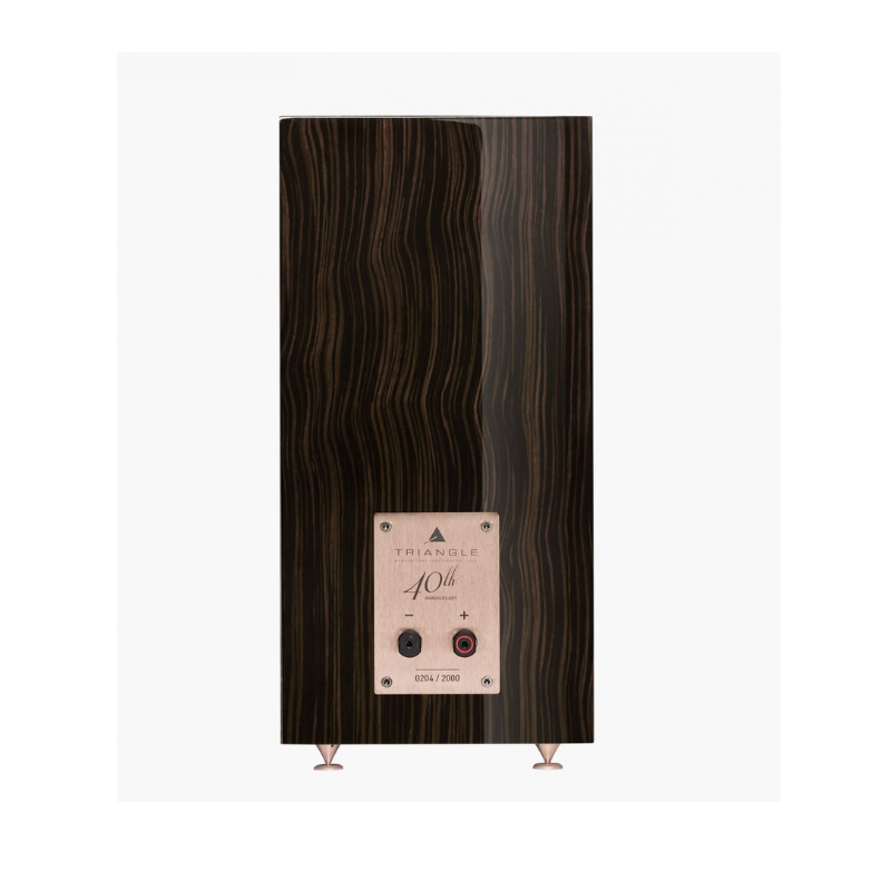 Triangle 40th Anniversary Comète (Demo)