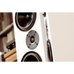 Living Voice R25A