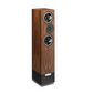 Living Voice R25A