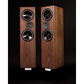 Living Voice R25A