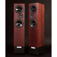 Living Voice R25A