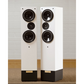 Living Voice R25A
