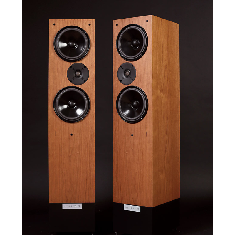 Living Voice R25A – Stereo-Direct